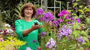 Der Auftakt der diesjährigen Gartenreise macht Hobbygärtnerin Brigitte Bergschneider aus Paderborn. Sie hat aus dem einstigen Selbstversorgergarten ihres Schwiegervaters ein blühendes Staudenparadies geschaffen. Der Auftakt der diesjährigen Gartenreise macht Hobbygärtnerin Brigitte Bergschneider aus Paderborn. Sie hat aus dem einstigen Selbstversorgergarten ihres Schwiegervaters ein blühendes Staudenparadies geschaffen.