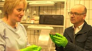 Austern sind wichtige Komponenten des Ökosystems Küste, erklärt Karen Wiltshire (stellvertretende Direktorin des Alfred-Wegener-Instituts für Polar- und Meeresforschung in Bremerhaven) Karsten Schwanke. Austern sind wichtige Komponenten des Ökosystems Küste, erklärt Karen Wiltshire (stellvertretende Direktorin des Alfred-Wegener-Instituts für Polar- und Meeresforschung in Bremerhaven) Karsten Schwanke.