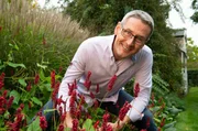 Zum großen Finale geht es in einen Gräsergarten nach Dortmund. Hier hat Familienvater Stefan Greven seinen perfekten Gartenstil gefunden. Fast täglich buddelt, zupft, mäht und schneidet er im 1000 Quadratmeter großen modernen Stadtgarten. Think big ist seine Devise: besser viele Pflanzen von einer Sorte setzen - das sorgt für Ruhe und ist pflegeleicht. Zum großen Finale geht es in einen Gräsergarten nach Dortmund. Hier hat Familienvater Stefan Greven seinen perfekten Gartenstil gefunden. Fast täglich buddelt, zupft, mäht und schneidet er im 1000 Quadratmeter großen modernen Stadtgarten. Think big ist seine Devise: besser viele Pflanzen von einer Sorte setzen - das sorgt für Ruhe und ist pflegeleicht.