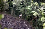 Die Zipline spannt sich 300 Meter über das Tal. Es gibt zwei Ziplines, eine für den Hin-, eine für den Rückweg. Die Zipline spannt sich 300 Meter über das Tal. Es gibt zwei Ziplines, eine für den Hin-, eine für den Rückweg.