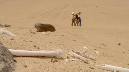 Ein Team von Arch&auml;ologen in der Atacama-W&uuml;ste nahe der Stadt Arica im Norden Chiles. Das Team ist auf der Suche nach Spuren, die Auskunft &uuml;ber die r&auml;tselhaften Geoglyphen der Atacama-W&uuml;ste geben.