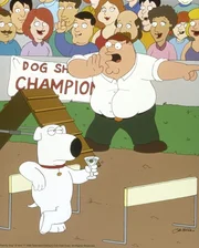 Da es sehr hei&szlig; in Quahog ist, brauchen die Griffins eine Klimaanlage. Brian (l.) soll in einem Hundewettbewerb das Geld daf&uuml;r gewinnen.