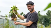 Thomas Deckert baut in seinem Garten alte Obst- und Gemüsesorten an. Thomas Deckert baut in seinem Garten alte Obst- und Gemüsesorten an.