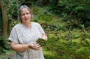 Ein ehemaliger Sandsteinbruch an der Nahe in Rheinland-Pfalz ist das Ziel der zweiten „Garten & lecker“- Reise. Dieses einst zugewucherte und unwegsame Gelände von acht Hektar haben die „Naturgärtner“ Ursula Altmoos (Foto) und ihr Mann Michael in 13 Jahren harter Arbeit in ein Wildgartenparadies verwandelt. Im schattigen Teil, am Steinhang, gedeihen auf rund 1000 Quadratmetern verschiedenste Moose und Farne. Ein ehemaliger Sandsteinbruch an der Nahe in Rheinland-Pfalz ist das Ziel der zweiten „Garten & lecker“- Reise. Dieses einst zugewucherte und unwegsame Gelände von acht Hektar haben die „Naturgärtner“ Ursula Altmoos (Foto) und ihr Mann Michael in 13 Jahren harter Arbeit in ein Wildgartenparadies verwandelt. Im schattigen Teil, am Steinhang, gedeihen auf rund 1000 Quadratmetern verschiedenste Moose und Farne.