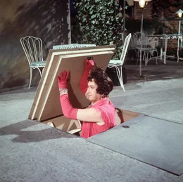 Dr. Otto Wilder (Peter Alexander)