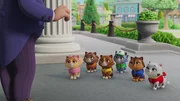 Kitten Catastrophe Crew Kitten Catastrophe Crew