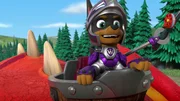 Paw Patrol.