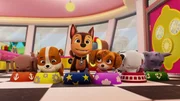 v.li.: Zuma, Rubble, Chase, Skye, Marshall, Rocky v.li.: Zuma, Rubble, Chase, Skye, Marshall, Rocky