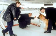 "Kommissar Rex", "Eiskalt." Beim Training st&uuml;rzt ein Spieler einer Eishockeymannschaft und stirbt. Im Bild (v.li.): Heinz Weixelbraun (Christian B&ouml;ck), Johannes Terne (Johannes Altmann), Gedeon Burkhard (Alexander Brandtner).