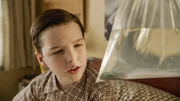 Ist ein Fisch vielleicht doch das bessere Haustier für Sheldon (Iain Armitage)? Ist ein Fisch vielleicht doch das bessere Haustier für Sheldon (Iain Armitage)?