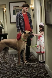 Ava (Talyan Wright, r.), Zoeys kleine Tochter, lädt Walden (Ashton Kutcher, l.) zu ihrem Kindergeburtstag ein. Da er kein passendes Geschenk für sie weiß, entscheidet er sich für eine Dogge. Doch was wird Zoey dazu sagen? Ava (Talyan Wright, r.), Zoeys kleine Tochter, lädt Walden (Ashton Kutcher, l.) zu ihrem Kindergeburtstag ein. Da er kein passendes Geschenk für sie weiß, entscheidet er sich für eine Dogge. Doch was wird Zoey dazu sagen?