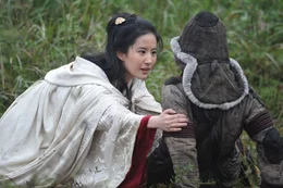 Yifei Liu (Lian)