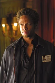 Bei den Ermittlungen: Warrick Brown (Gary Dourdan) ...
