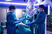 Dr. Morgan Reznick (Fiona Gubelmann, l.) und Dr. Neil Melendez (Nicholas Gonzalez, r.) Dr. Morgan Reznick (Fiona Gubelmann, l.) und Dr. Neil Melendez (Nicholas Gonzalez, r.)