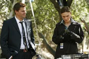 Booth (David Boreanaz) und Brennan (Emily Deschanel) arbeiten an einem neuen Fall: In den Baumkronen eines Naturschutzgebietes wurden Knochen gefunden. Wie sind sie dort gelandet und von wem stammen sie?
