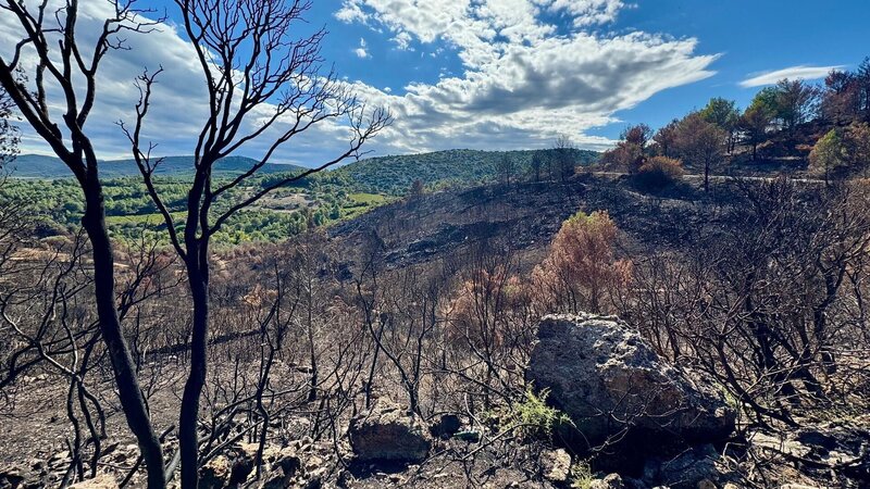 Waldbrände verhindern - aber wie? (F, 2026)