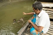 Voven Biswash lebt und arbeitet in einem Mangrovendelta in Bangladesch. Die Otter sind seine treuen Begleiter und unverzichtbare Jagdpartner.