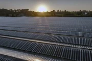 Bei der sogenannten Agri-Photovoltaik von Piet Albers wird gleichzeitig Obst angebaut und Solarstrom erzeugt. Bei der sogenannten Agri-Photovoltaik von Piet Albers wird gleichzeitig Obst angebaut und Solarstrom erzeugt.