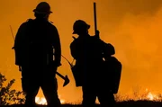 Waldbrände in Australien: Durch die Feuer in Australien gelangten etwa 700 Millionen Tonnen CO2 in die Atmosphäre. Waldbrände in Australien: Durch die Feuer in Australien gelangten etwa 700 Millionen Tonnen CO2 in die Atmosphäre.