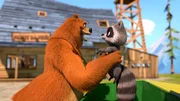 Grizzy (l.) findet ein Waschb&auml;rbaby und nimmt es unter seine Fittiche. Doch auch die Lemminge wollen mit dem s&uuml;&szlig;en Kerlchen spielen. Grizzy ist skeptisch: Ist das nicht zu gef&auml;hrlich f&uuml;r den Kleinen?