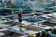 Die Tanka auf der chinesischen Insel Hainan m&uuml;ssen neben der Fischerei auch selbst Fische z&uuml;chten, um genug Geld zu verdienen. Doch die immer schlechter werdende Wasserqualit&auml;t bereitet ihnen zunehmend Schwierigkeiten.