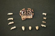 Die Kultivierung der Dehesa reicht bis in die Jungsteinzeit zur&uuml;ck, wie diese arch&auml;ologischen Funde best&auml;tigen.