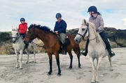 Pat und seine Töchter Meadhbh und Evin O'Neill reiten gern am Strand der Halbinsel Ballyconneely. Pat und seine Töchter Meadhbh und Evin O'Neill reiten gern am Strand der Halbinsel Ballyconneely.