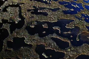 Eines der komplexesten natürlichen Ökosysteme der schottischen Highlands: das Torfmoor Eines der komplexesten natürlichen Ökosysteme der schottischen Highlands: das Torfmoor