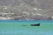 Die Natur der Kapverden ist durch das trockene Klima eher karg. Doch unter Wasser tummeln sich zahlreiche Arten. Die Natur der Kapverden ist durch das trockene Klima eher karg. Doch unter Wasser tummeln sich zahlreiche Arten.