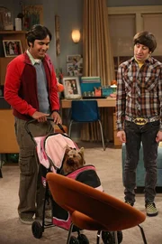 Raj (Kunal Nayyar, l.) muss übers Wochenende arbeiten und bittet Howard (Simon Helberg, r.), sich solange um sein Hündchen Cinnamon zu kümmern. Obwohl Howard zunächst nicht davon angetan ist, zeigt Bernadette schon bald mütterliche Gefühle - und schon sprechen sie über ihre Familienplanung. Aber dann läuft ihnen Cinnamon weg ... Raj (Kunal Nayyar, l.) muss übers Wochenende arbeiten und bittet Howard (Simon Helberg, r.), sich solange um sein Hündchen Cinnamon zu kümmern. Obwohl Howard zunächst nicht davon angetan ist, zeigt Bernadette schon bald mütterliche Gefühle - und schon sprechen sie über ihre Familienplanung. Aber dann läuft ihnen Cinnamon weg ...
