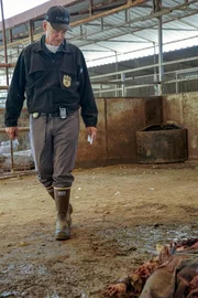 Leroy Jethro Gibbs (Mark Harmon)