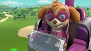 Skye