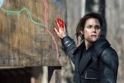 Pictured: Missy Peregrym as Special Agent Maggie Bell. Pictured: Missy Peregrym as Special Agent Maggie Bell.