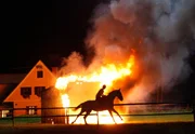 Auf der Stubalpe hat der Blitz eingeschlagen und gefährdet eine Herde Lipizzaner. Karl (Christoph von Friedl) versucht die Lage in den Griff zu bekommen. Auf der Stubalpe hat der Blitz eingeschlagen und gefährdet eine Herde Lipizzaner. Karl (Christoph von Friedl) versucht die Lage in den Griff zu bekommen.