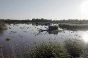 Im 12. Jahrhundert kanalisierten M&ouml;nche die Wasservorkommen in der franz&ouml;sischen Brenne. Dieses Landschaftsbild ist bis heute weitgehend erhalten und bildet die Basis f&uuml;r den Naturpark.