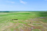 Schier unendliche Weiten: Die Puszta ist der westlichste Ausläufer der Eurasischen Steppe, die sich, mit kleinen Unterbrechungen, bis in die Mongolei erstreckt. Schier unendliche Weiten: Die Puszta ist der westlichste Ausläufer der Eurasischen Steppe, die sich, mit kleinen Unterbrechungen, bis in die Mongolei erstreckt.