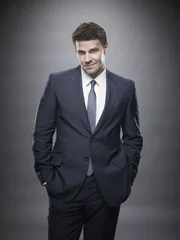 David Boreanaz als FBI Special Agent Seeley Booth David Boreanaz als FBI Special Agent Seeley Booth