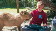 Nick mit einem Wasserschwein Nick mit einem Wasserschwein