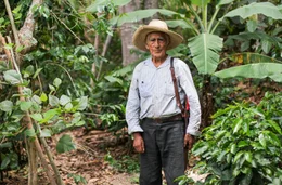 Antonio ist 89 Jahre alt &ndash; und arbeitet t&auml;glich neun Stunden auf dem Feld.