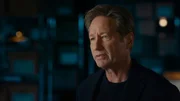 David Duchovny David Duchovny
