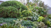 "50 Shades of Green" im grünen Garten von Saskia Plewe in Reutlingen. "50 Shades of Green" im grünen Garten von Saskia Plewe in Reutlingen.