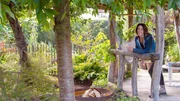 Die dritte Gartenreise führt nach Reutlingen. Saskia Plewe hat aus dem 500 Quadratmeter großen Grundstück ihrer Großeltern eine grüne Oase für die Familie geschaffen. Die dritte Gartenreise führt nach Reutlingen. Saskia Plewe hat aus dem 500 Quadratmeter großen Grundstück ihrer Großeltern eine grüne Oase für die Familie geschaffen.