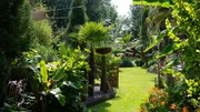 Palmen, Bananen und Bambus – das sind die Stars im Garten von Thomas Seggewiß aus dem Münsterland. Auf 5.000 Quadratmetern wachsen asiatische, afrikanische und südamerikanische Gewächse. Palmen, Bananen und Bambus – das sind die Stars im Garten von Thomas Seggewiß aus dem Münsterland. Auf 5.000 Quadratmetern wachsen asiatische, afrikanische und südamerikanische Gewächse.