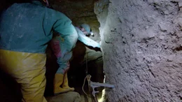 Bl&auml;tterteigh&ouml;hle.