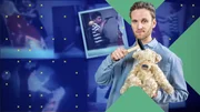 Aggression durch Beobachtung? Psychologe Leon Windscheid fragt, ob Kinder aggressives Verhalten von Eltern, Games und Social Media kopieren und erklärt die Bobo-Doll-Studien. Aggression durch Beobachtung? Psychologe Leon Windscheid fragt, ob Kinder aggressives Verhalten von Eltern, Games und Social Media kopieren und erklärt die Bobo-Doll-Studien.