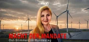 Carolin Bachmann (AfD)
