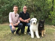 Bettwanzen sind auf dem Vormarsch. Es kann passieren, dass Wanzen als ungebetene Gäste aus dem Urlaubshotel ins Zuhause gelangen. Und dann ist Wanzen-Experte Larry Hansen mit seinen Spürhunden "AJ" und "Casey" gefragt. "PUR+"- Moderator Eric Mayer unterstützt Larry bei einem Training der Hunde. Bettwanzen sind auf dem Vormarsch. Es kann passieren, dass Wanzen als ungebetene Gäste aus dem Urlaubshotel ins Zuhause gelangen. Und dann ist Wanzen-Experte Larry Hansen mit seinen Spürhunden "AJ" und "Casey" gefragt. "PUR+"- Moderator Eric Mayer unterstützt Larry bei einem Training der Hunde.