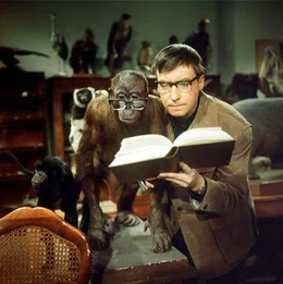 Dr. Fritz Geyer (Peter Alexander)