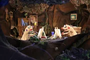 Die Erdmännchen schwingen den Pinsel. Die Erdmännchen schwingen den Pinsel.