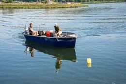 Am Zusammenfluss von Donau und Traun gibt es gute Voraussetzungen f&uuml;r einen guten Fang.